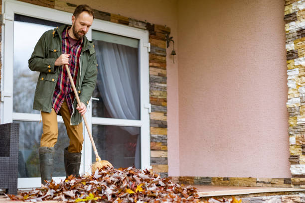 Best Estate Cleanout Services  in Mount Ayr, IA